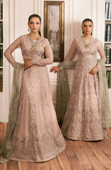 Zarif - Inayat - Embroidered Net - Divaan