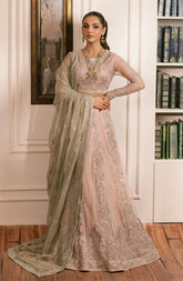 Zarif - Inayat - Embroidered Net - Divaan