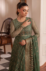Zarif - Inayat - Embroidered Net - Shabab