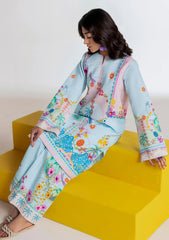 Amal Prints 2Pc - D05