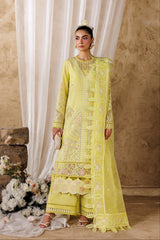 Akbar Aslam - Embroidered Lawn - Felene