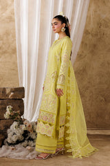 Akbar Aslam - Embroidered Lawn - Felene