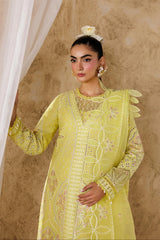 Akbar Aslam - Embroidered Lawn - Felene