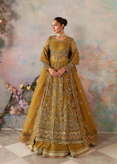 Akbar Aslam - Embellished Organza - Sierra