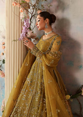 Akbar Aslam - Embellished Organza - Sierra