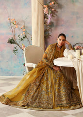 Akbar Aslam - Embellished Organza - Sierra