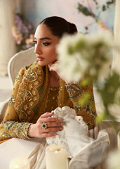 Akbar Aslam - Embellished Organza - Sierra