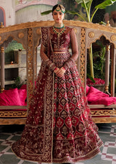 Afrozeh - Shehnai - Embroidered Net - Tabeer