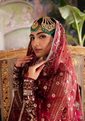 Afrozeh - Shehnai - Embroidered Net - Tabeer