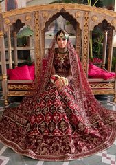Afrozeh - Shehnai - Embroidered Net - Tabeer