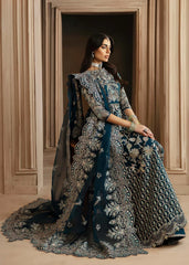 Akbar Aslam - Embellished Organza - Calista