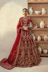 Akbar Aslam - Embellished Net - Embyrlen