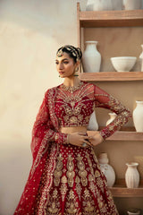 Akbar Aslam - Embellished Net - Embyrlen