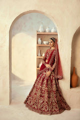 Akbar Aslam - Embellished Net - Embyrlen