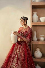 Akbar Aslam - Embellished Net - Embyrlen