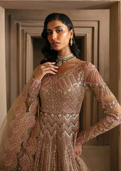 Akbar Aslam - Embellished Net - Vespera