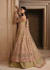 Akbar Aslam - Embellished Net - Vespera