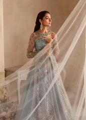 Akbar Aslam - Embellished Organza - Noche