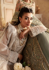 Akbar Aslam - Embellished Organza - Azucena