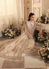 Akbar Aslam - Embellished Organza - Azucena