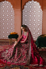 Akbar Aslam - Embellished Organza - Jahanara