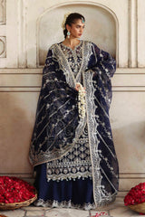 Akbar Aslam - Embellished Organza - Neelab