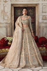 Akbar Aslam - Embellished Net - Nuraan