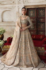 Akbar Aslam - Embellished Net - Nuraan