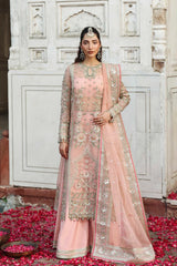 Akbar Aslam - Embellished Organza - Naazi
