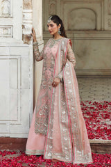 Akbar Aslam - Embellished Organza - Naazi