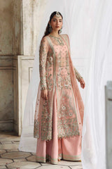 Akbar Aslam - Embellished Organza - Naazi