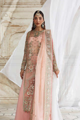 Akbar Aslam - Embellished Organza - Naazi