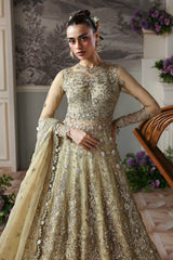 Akbar Aslam - Embellished Net - Mintara