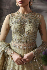 Akbar Aslam - Embellished Net - Mintara