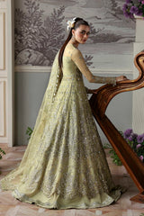 Akbar Aslam - Embellished Net - Mintara