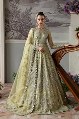 Akbar Aslam - Embellished Net - Mintara