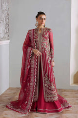 Akbar Aslam - Embellished Organza - Yeloria