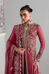 Akbar Aslam - Embellished Organza - Yeloria