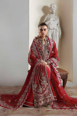 Akbar Aslam - Embellished Organza - Yeloria