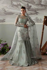 Akbar Aslam - Embellished Net - Silvenza