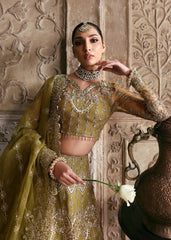 Akbar Aslam - Raj Kumari Bridal - Zarnigar
