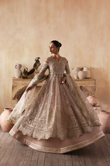 Zarposh - Jahanara Embellished Organza - Nure