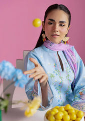 Amal Prints 3Pc - D12