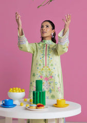 Amal Prints 3Pc - D07