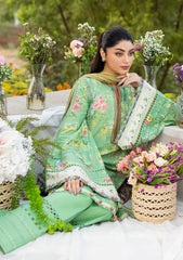 Elaf Premium - Printed Lawn - ECD-6B PASTELLE