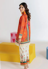 Amal Prints 2Pc - D04