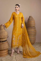 Humdum - Mushak - Embroidered Karandi - D05