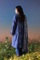 Bandhni Delight - 3PC