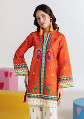 Amal Prints 2Pc - D04