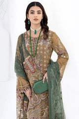 Ramsha - Chevron Embroidered Chiffon - A-601